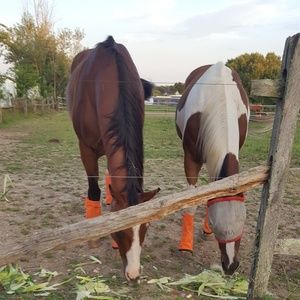 Meet your Posher, Baljit